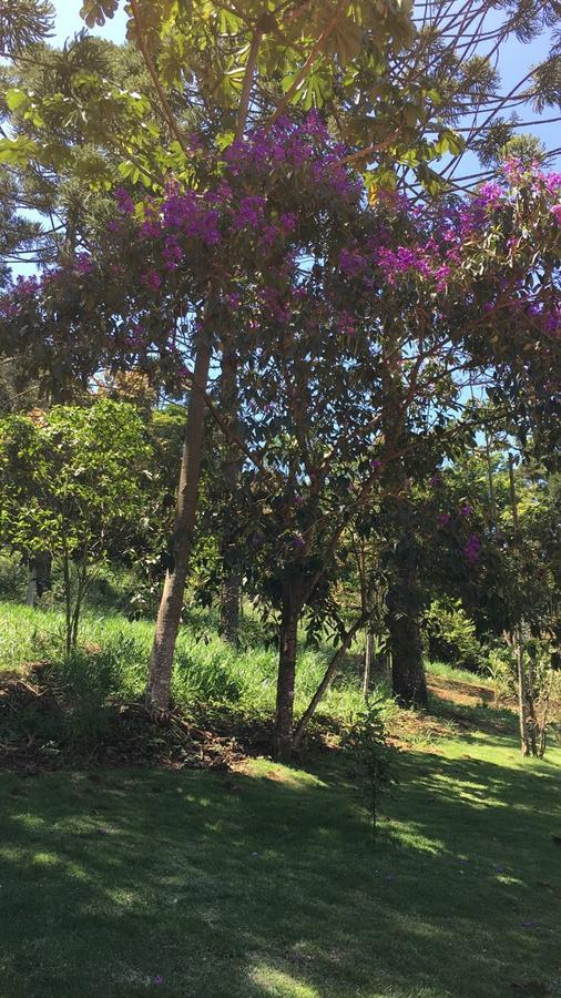 Pousada Canto Dos Passaros Itanhandu Luaran gambar